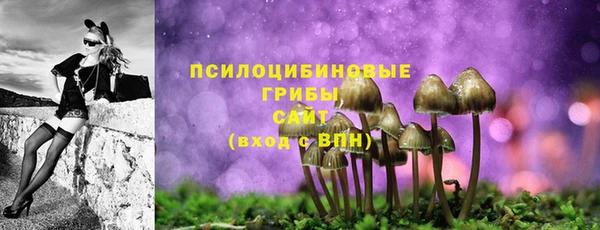 ГАЛЛЮЦИНОГЕННЫЕ ГРИБЫ Верхнеуральск